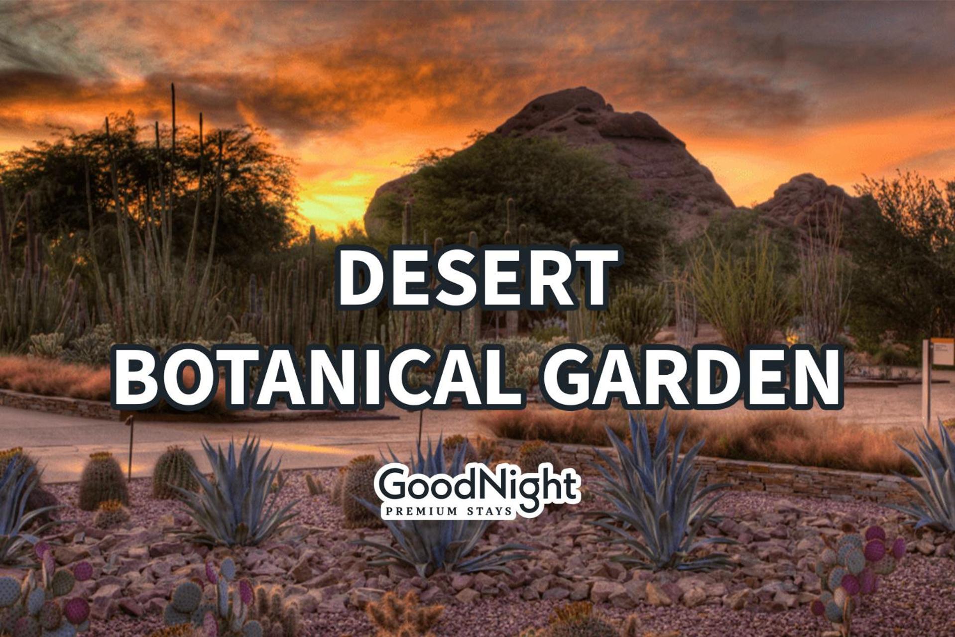 הוילה צ'נדלר Scottsdale - 445 N Arizona Ave Unit 15 מראה חיצוני תמונה